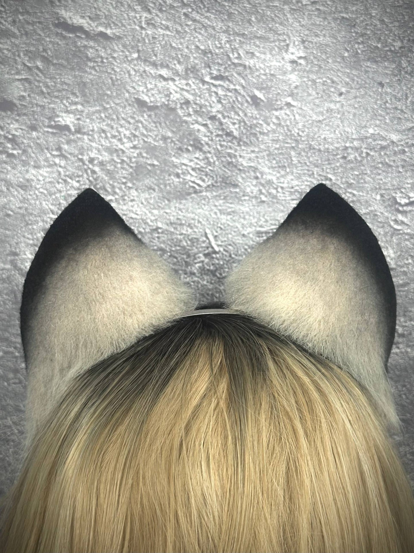 Gray Cat Ears RFS