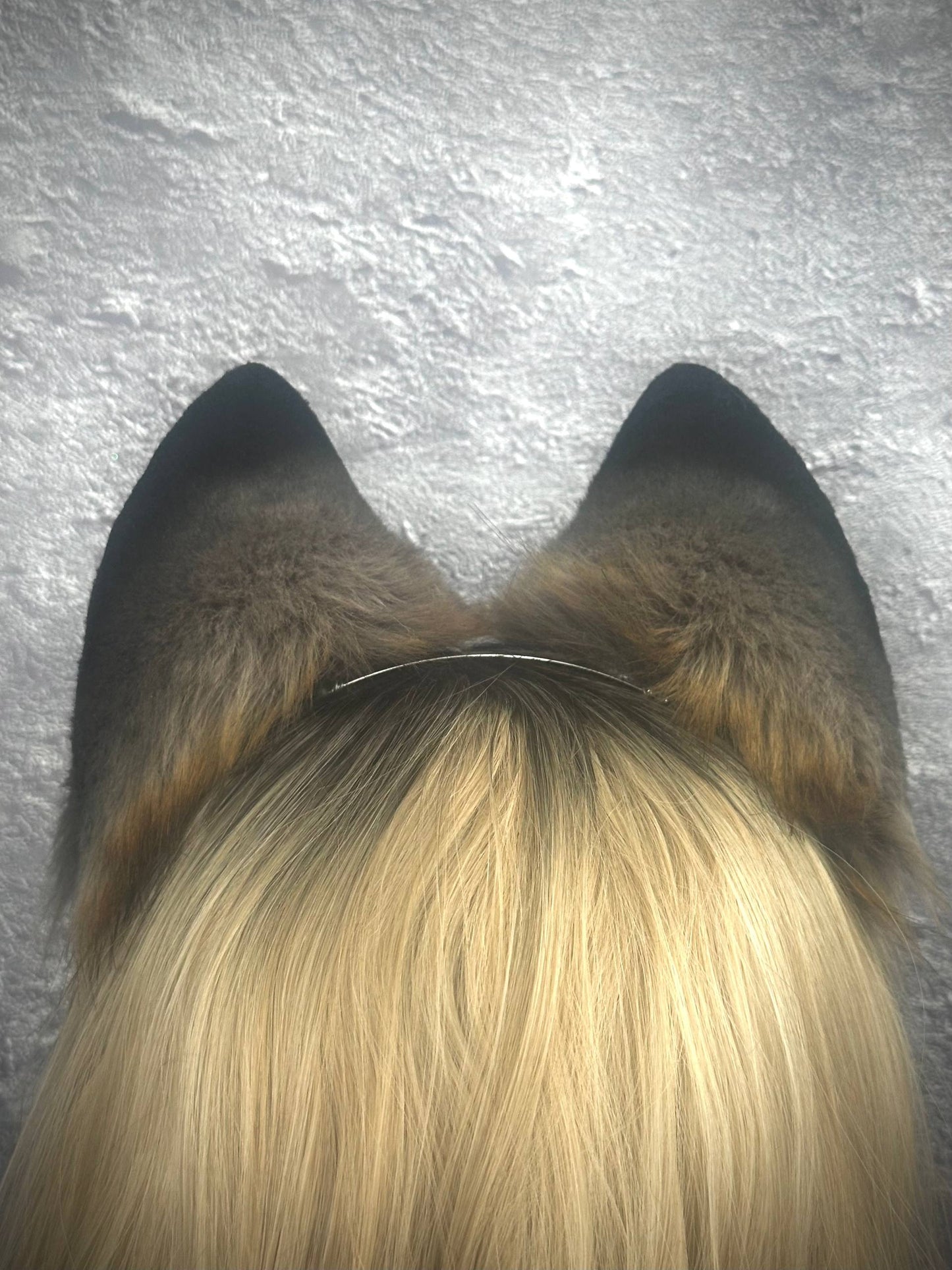 Gray Fox Ears RFS