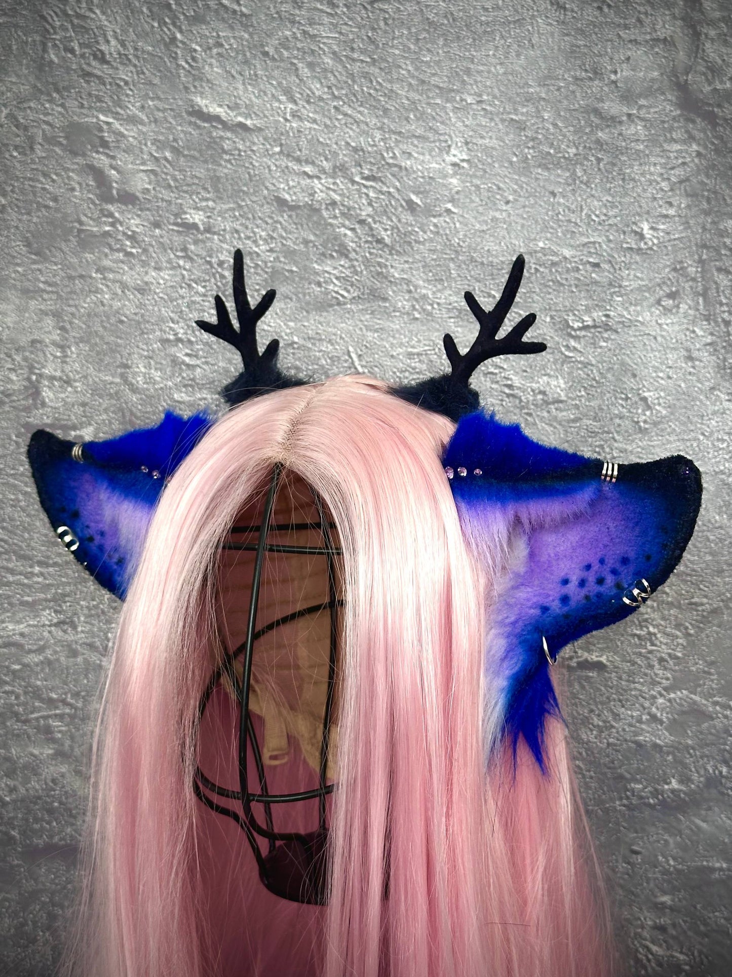 Blue Deer Ears RFS
