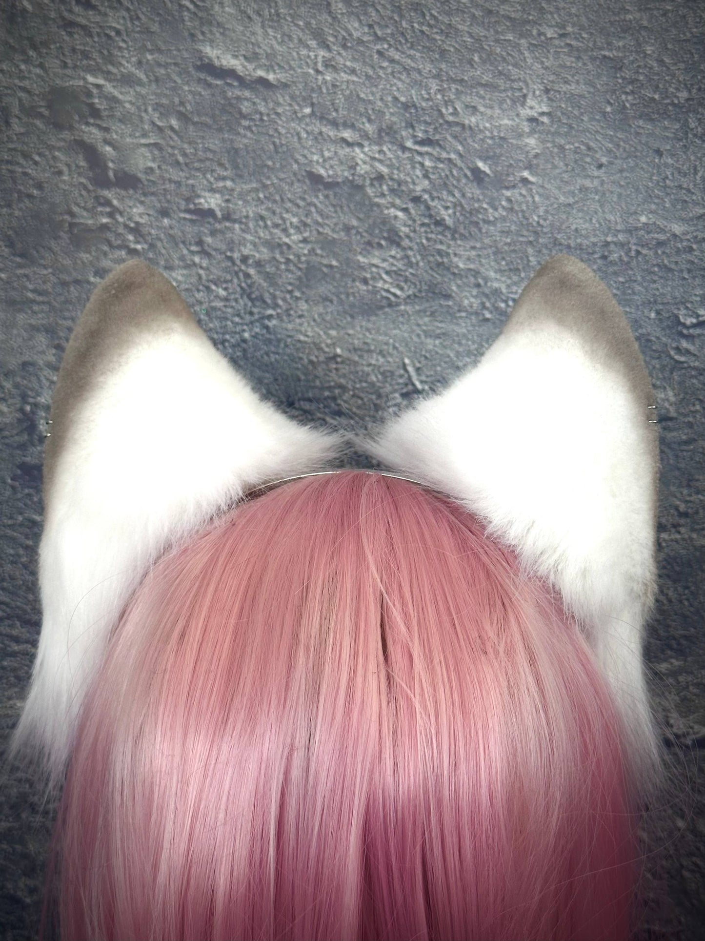 Polar Fox Ears RFS