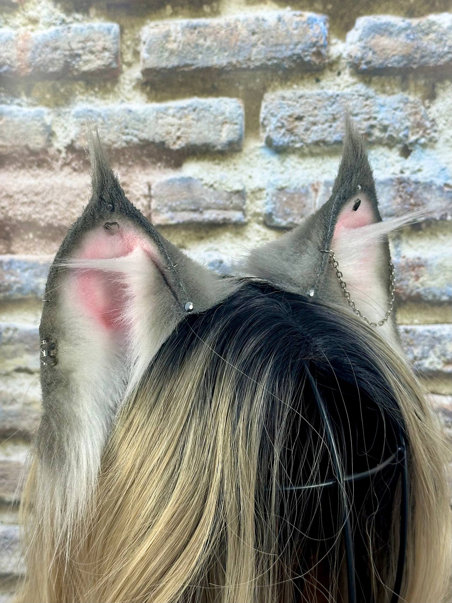Grey Little Lynx Ears