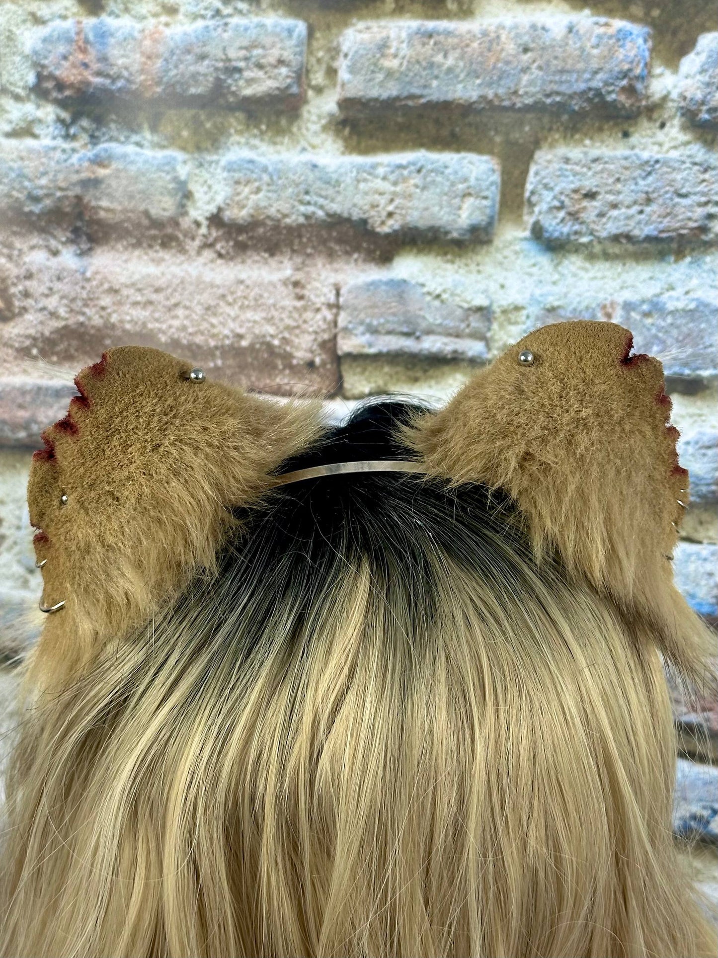 Fighter Rat Ears RFS