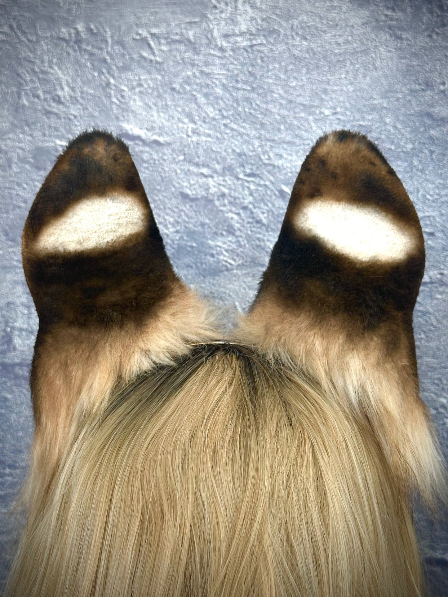 Serval Cat Ears