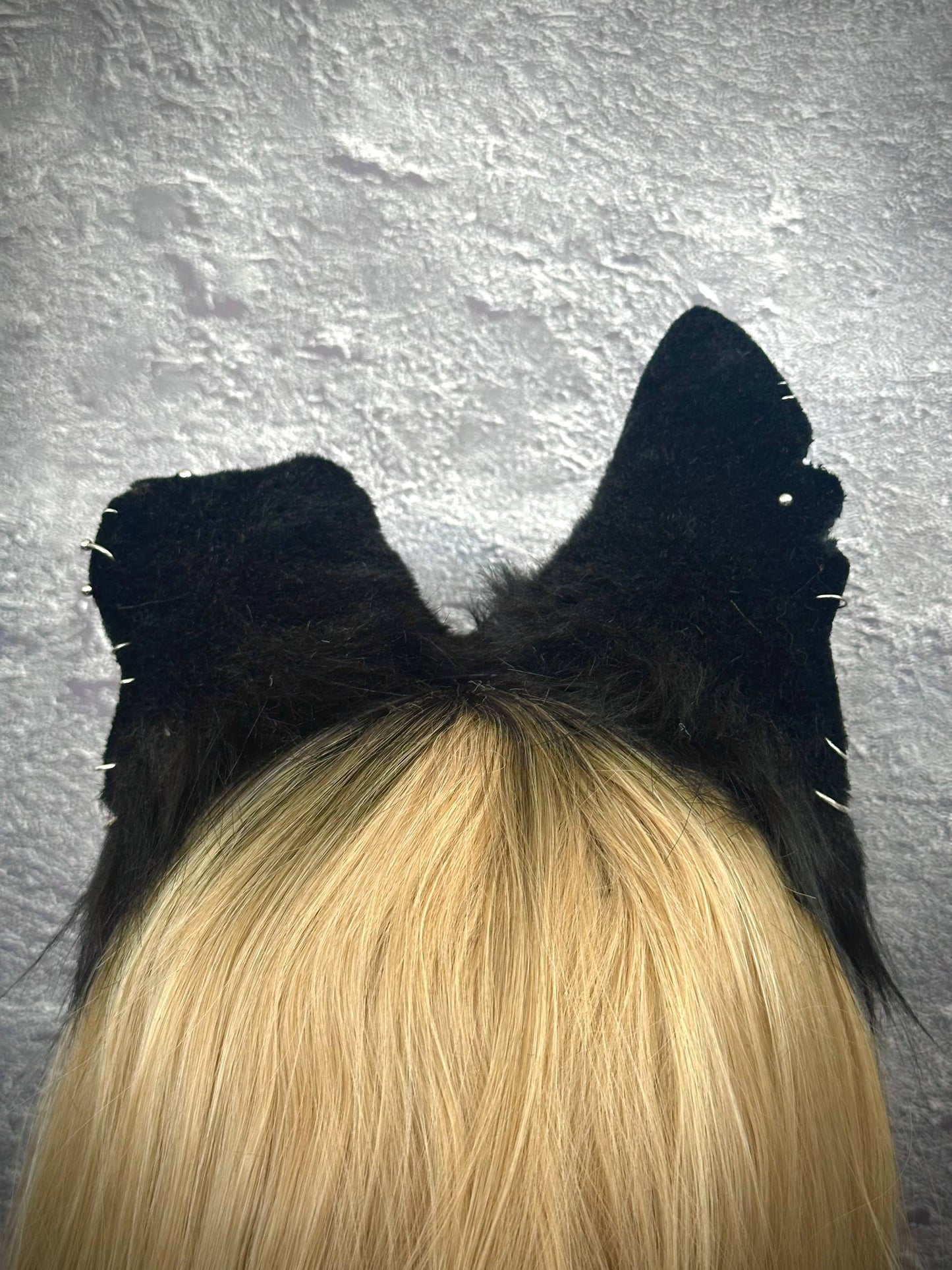 Mongrel Puppy Ears RFS