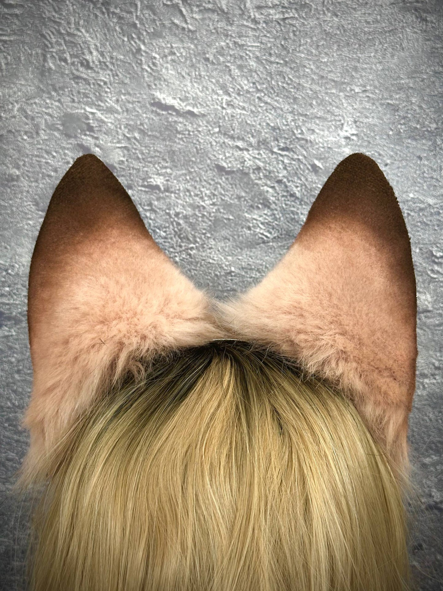 Beige Fox Ears RFS
