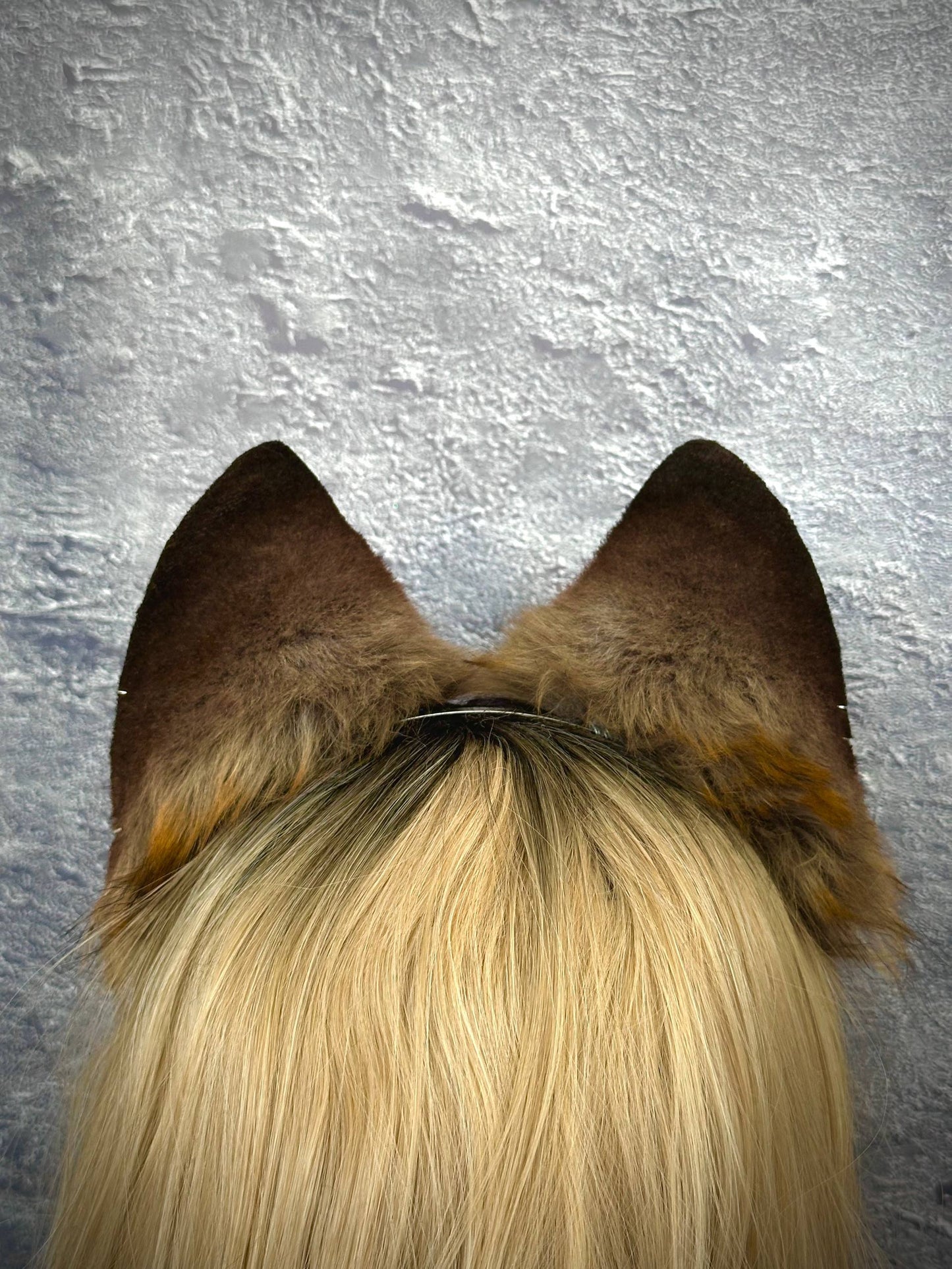 Brown Fox Ears RFS