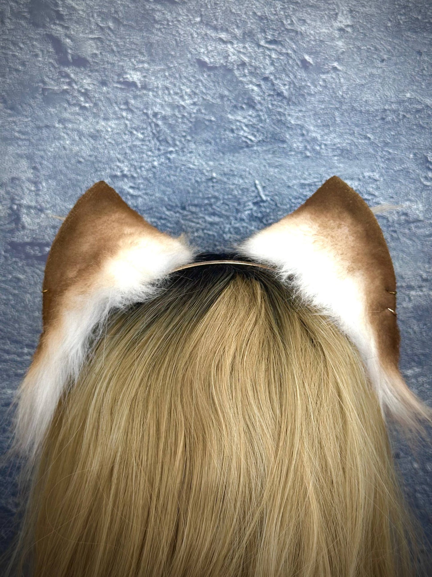 Brown Kitten Ears RFS