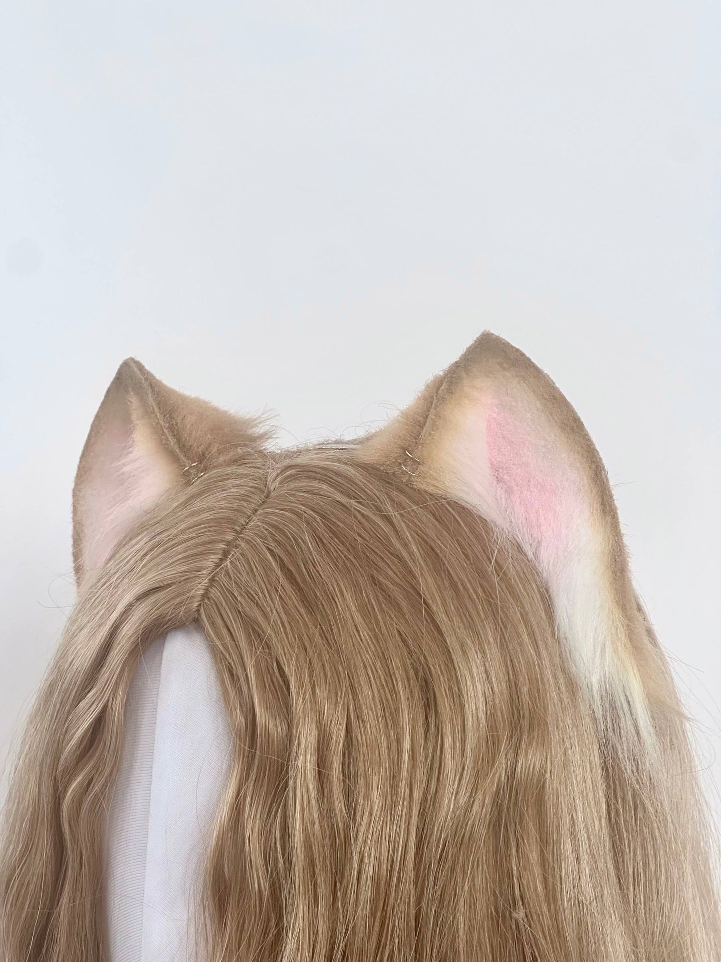 Caramel Kitten Ears RFS
