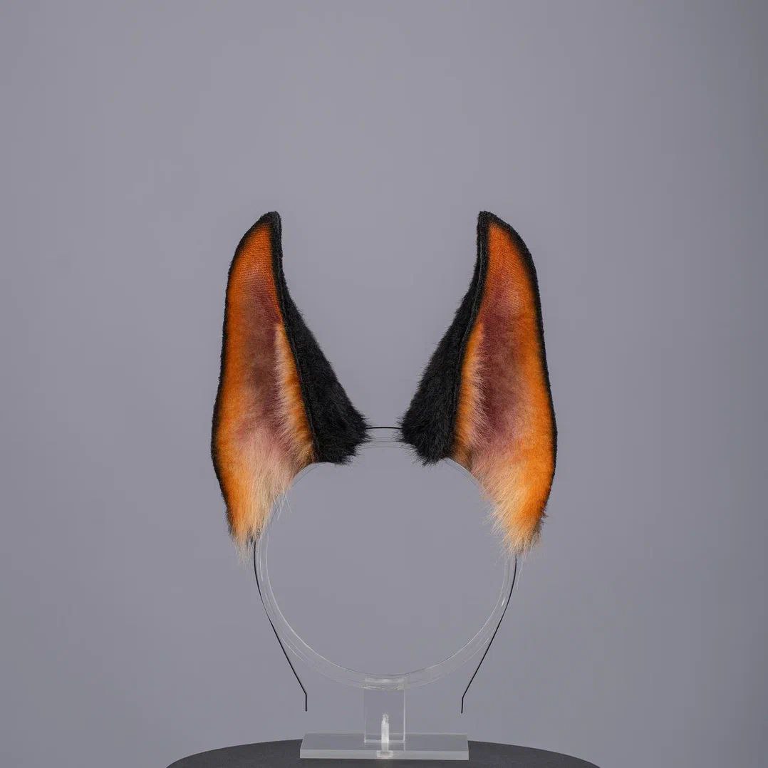 Doberman Puppy Ears
