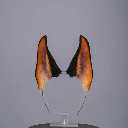 Doberman Puppy Ears