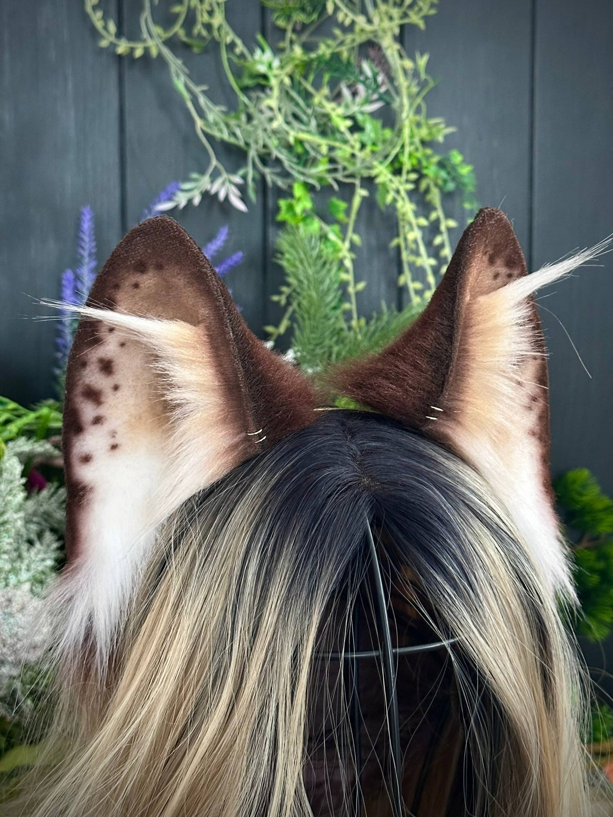 Spotted brown fox RFS