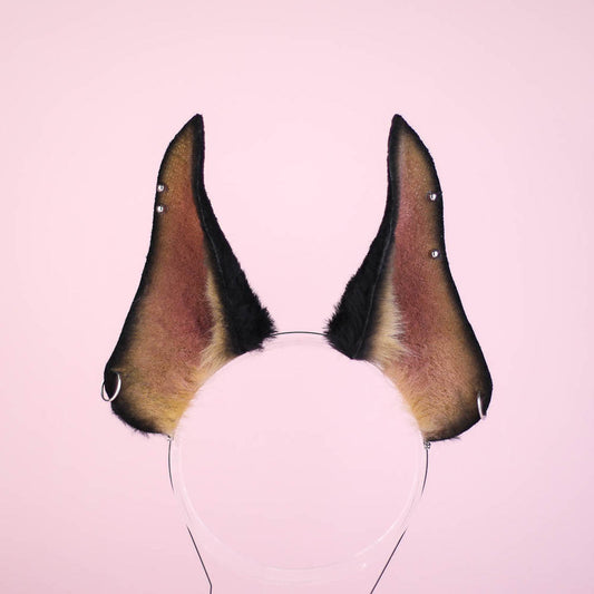 Doberman Ears