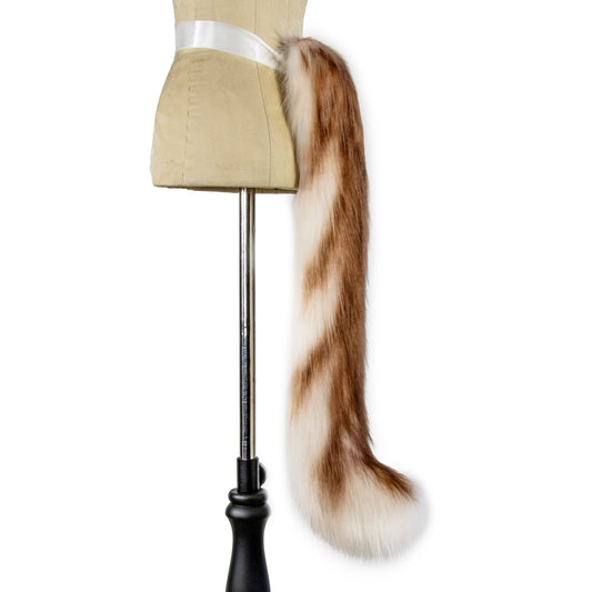 Ragdoll Kitten Tail