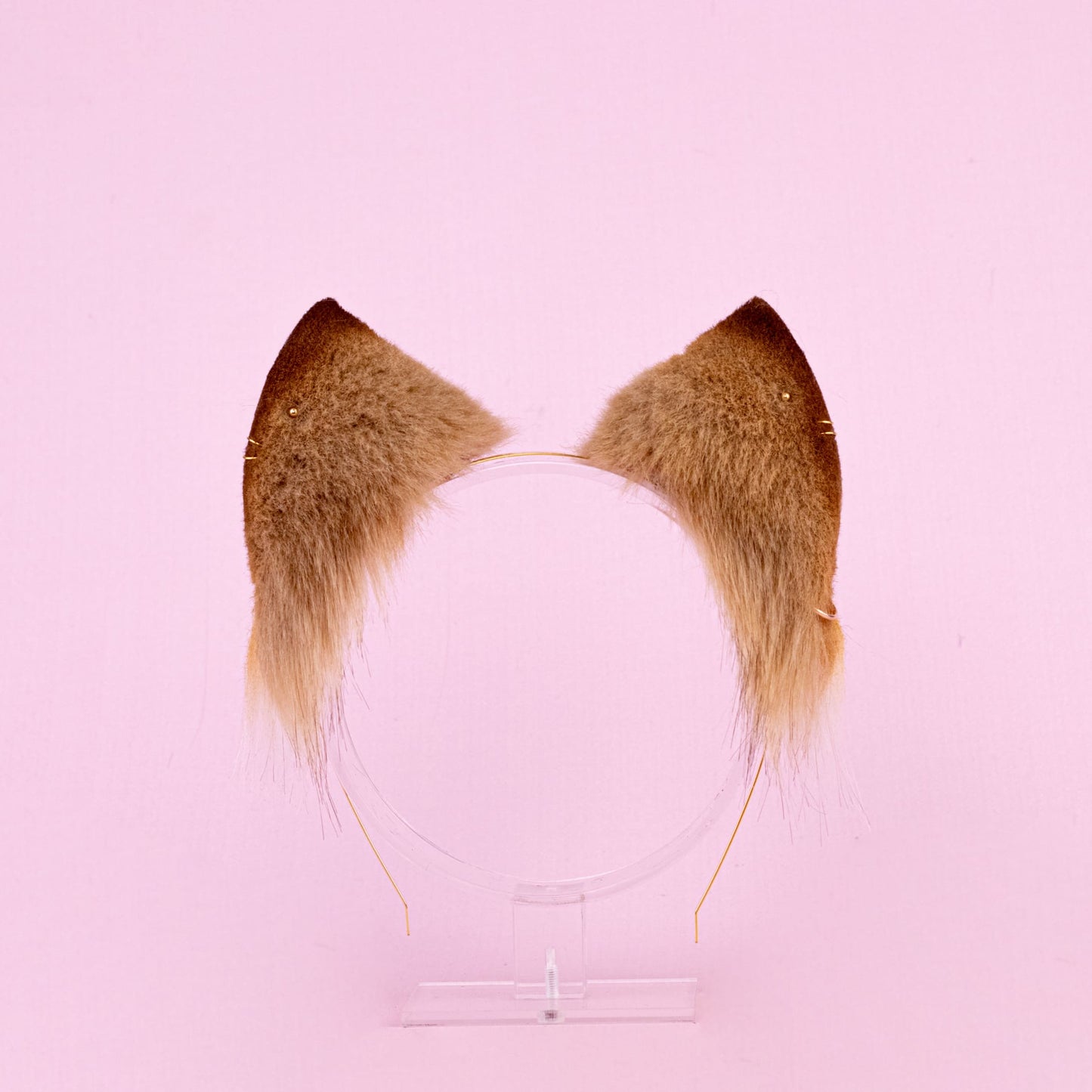 Golden Kitty Ears and Tail Set