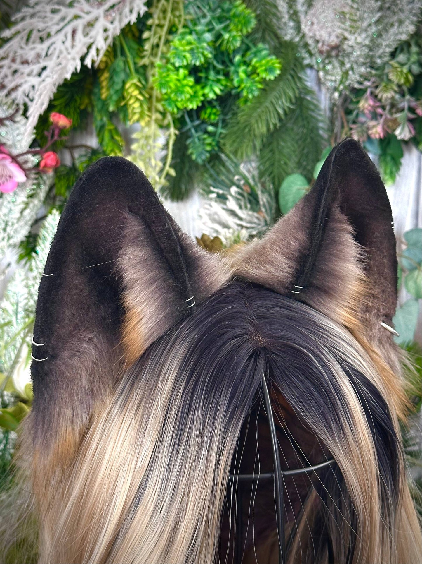 Brown Fox