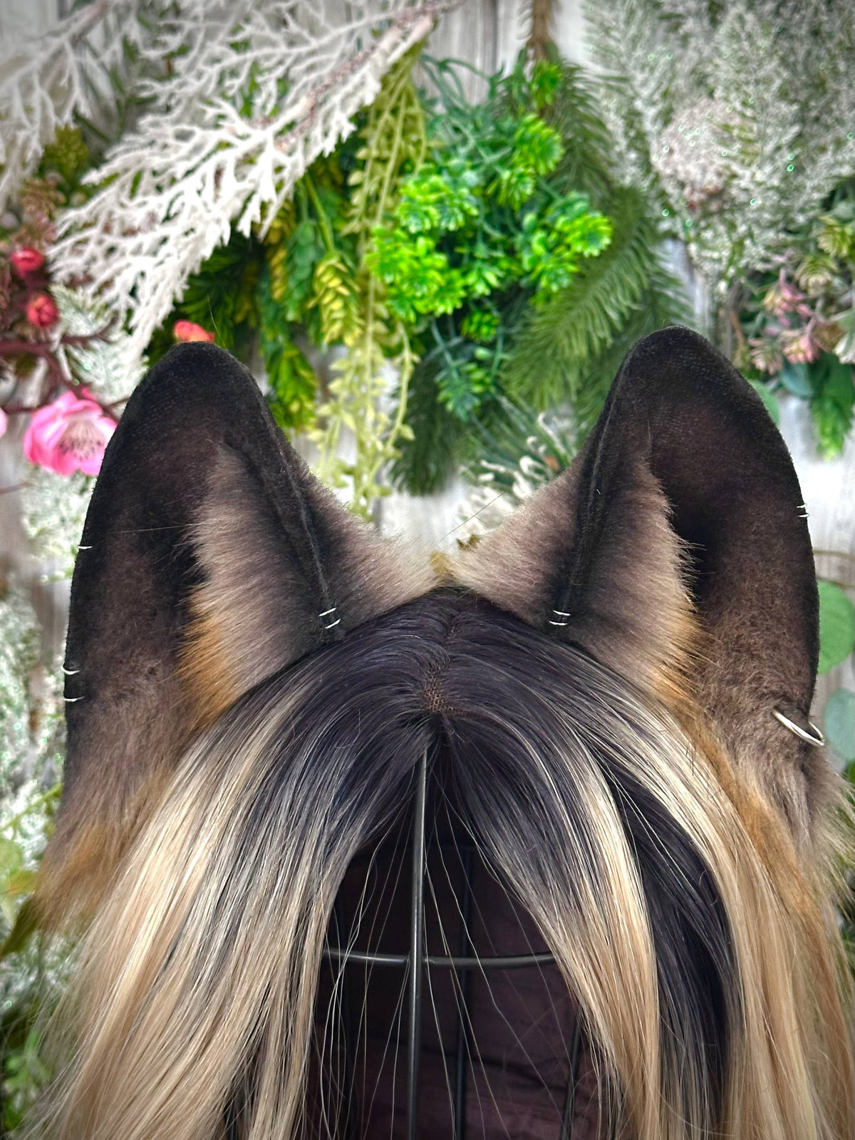 Brown Fox