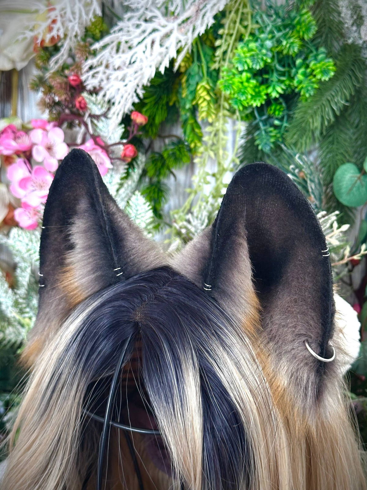 Brown Fox