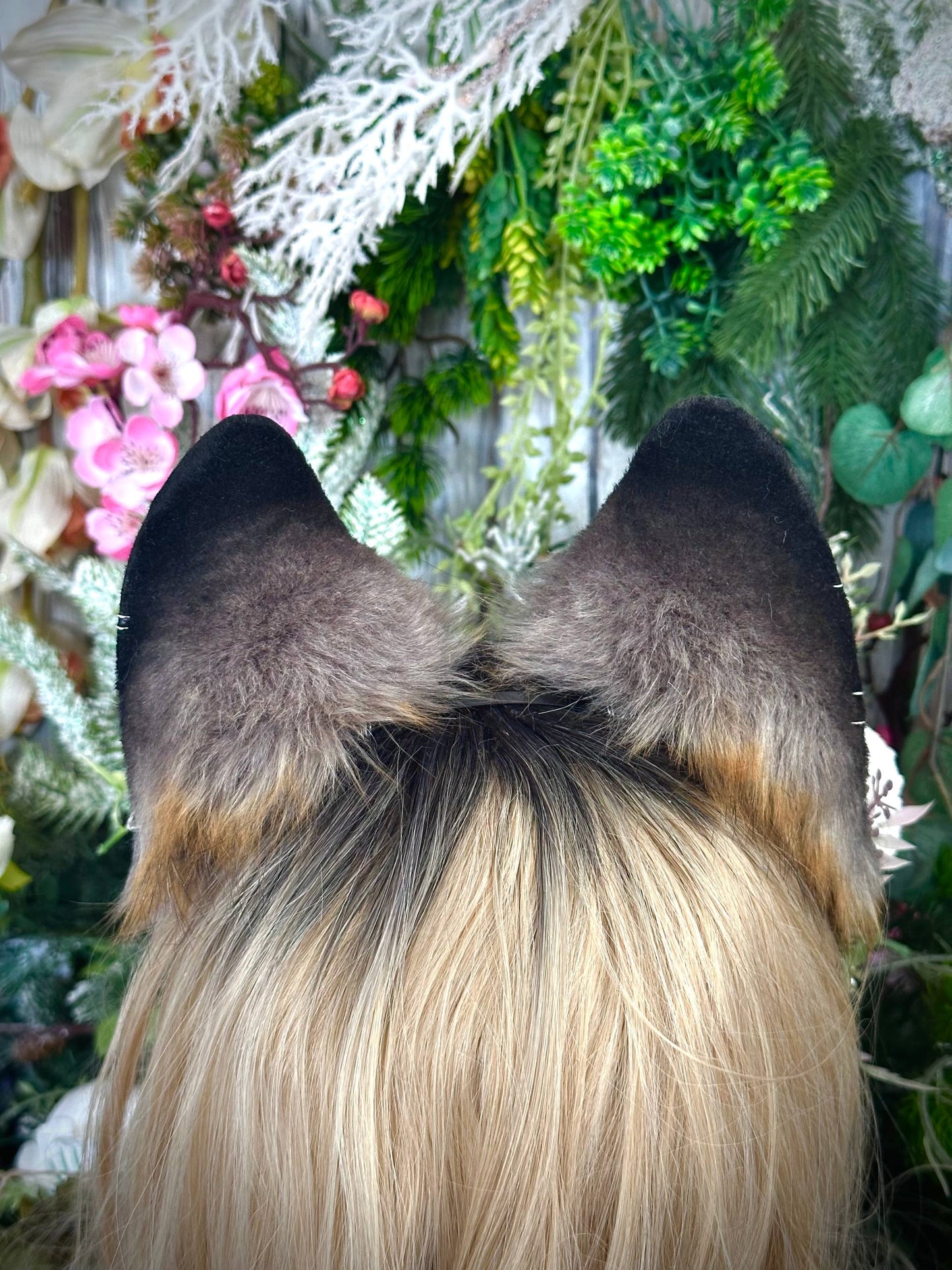 Brown Fox
