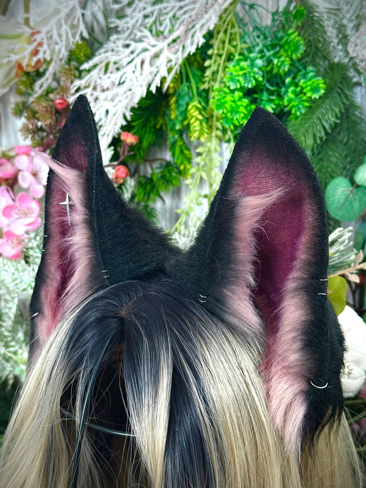 Mauve wolf