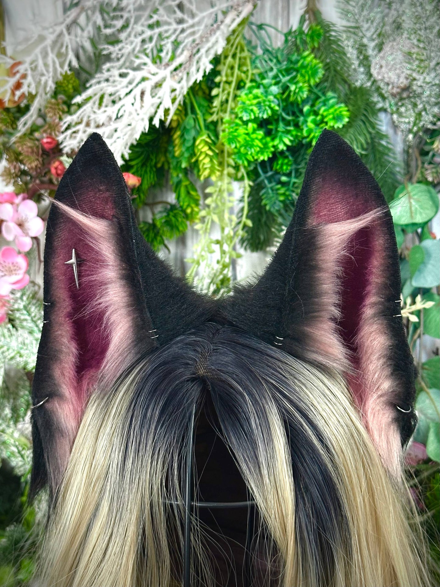 Mauve wolf