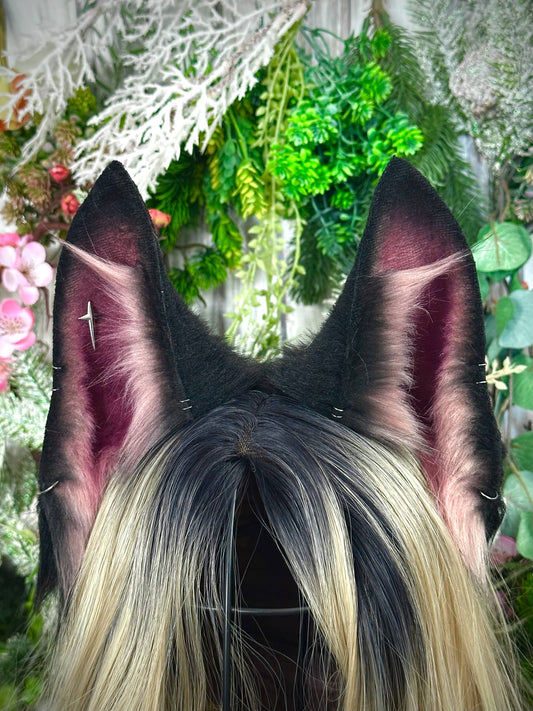 Mauve wolf
