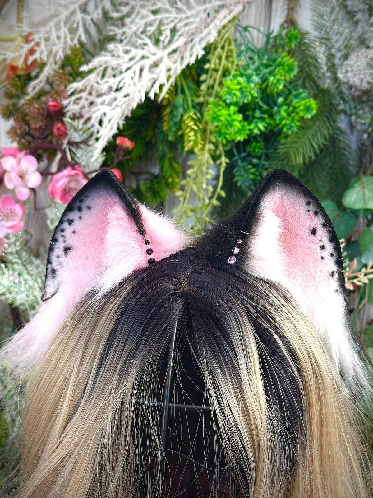 Black and pink Kitten