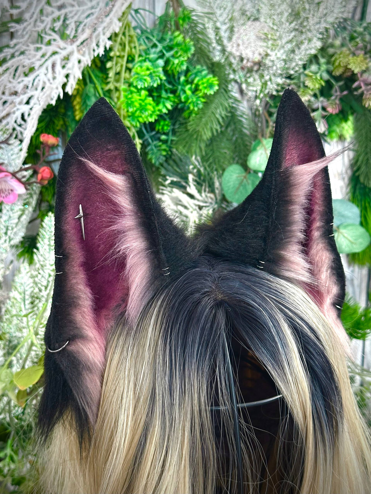 Mauve wolf