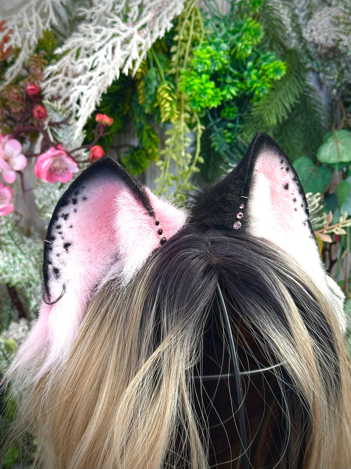 Black and pink Kitten