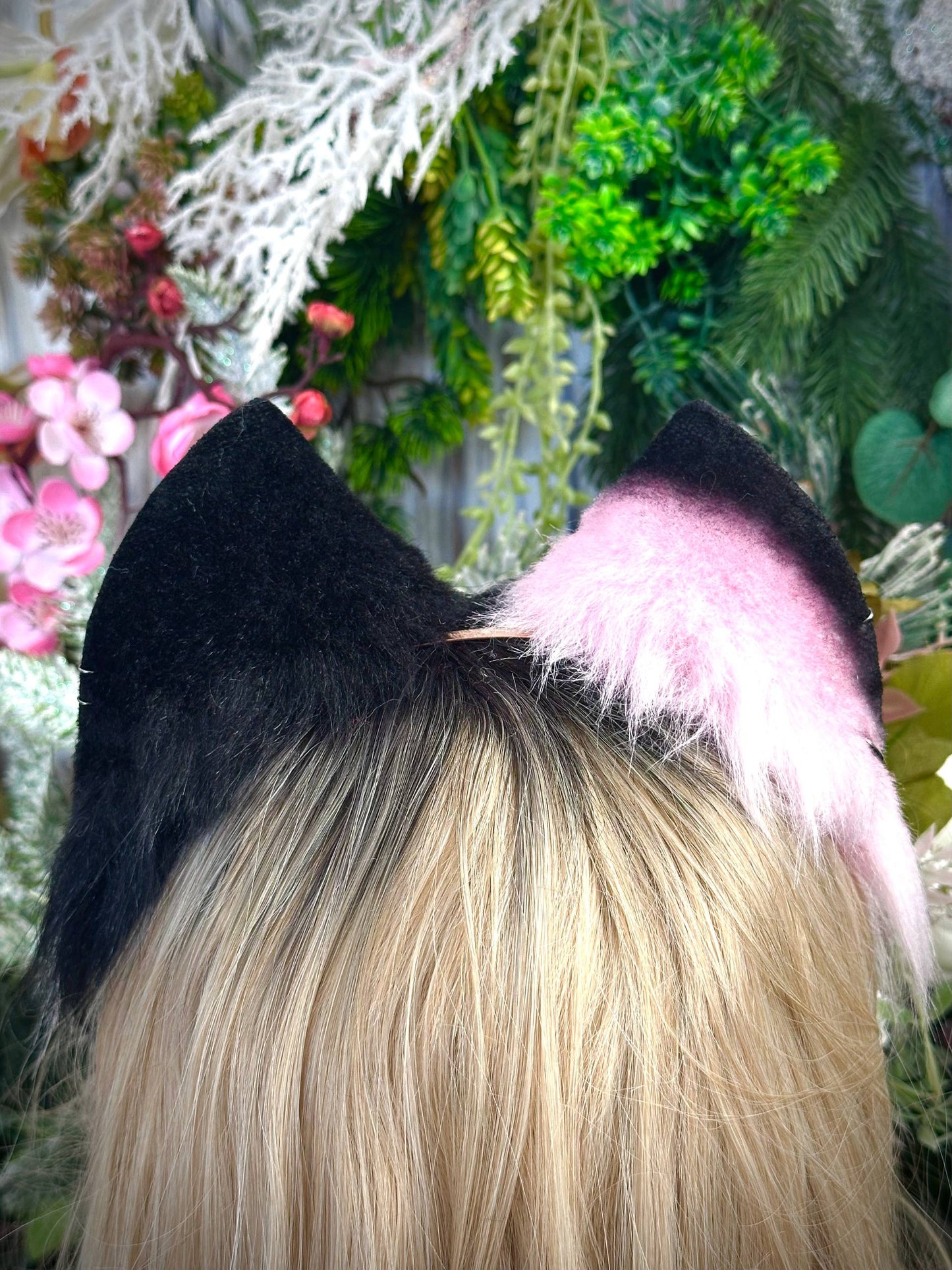 Black and pink Kitten