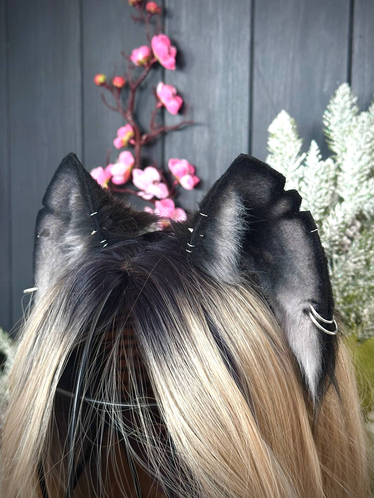 Black kitten