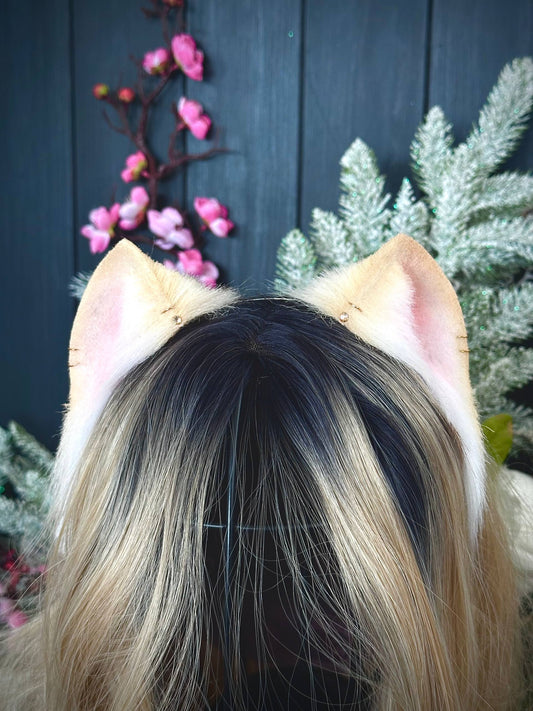 Blonde mini kitten