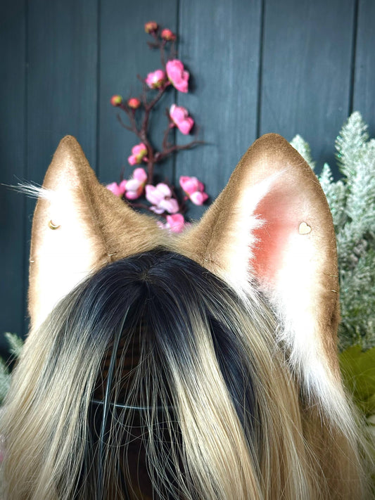 Dark blonde fox