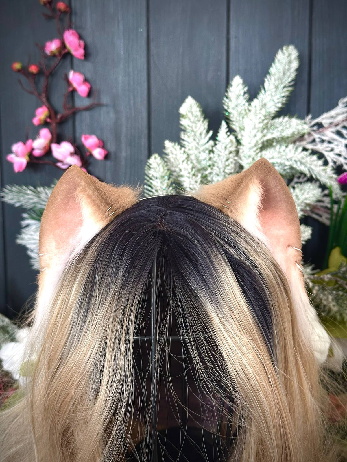 Brown mini kitten