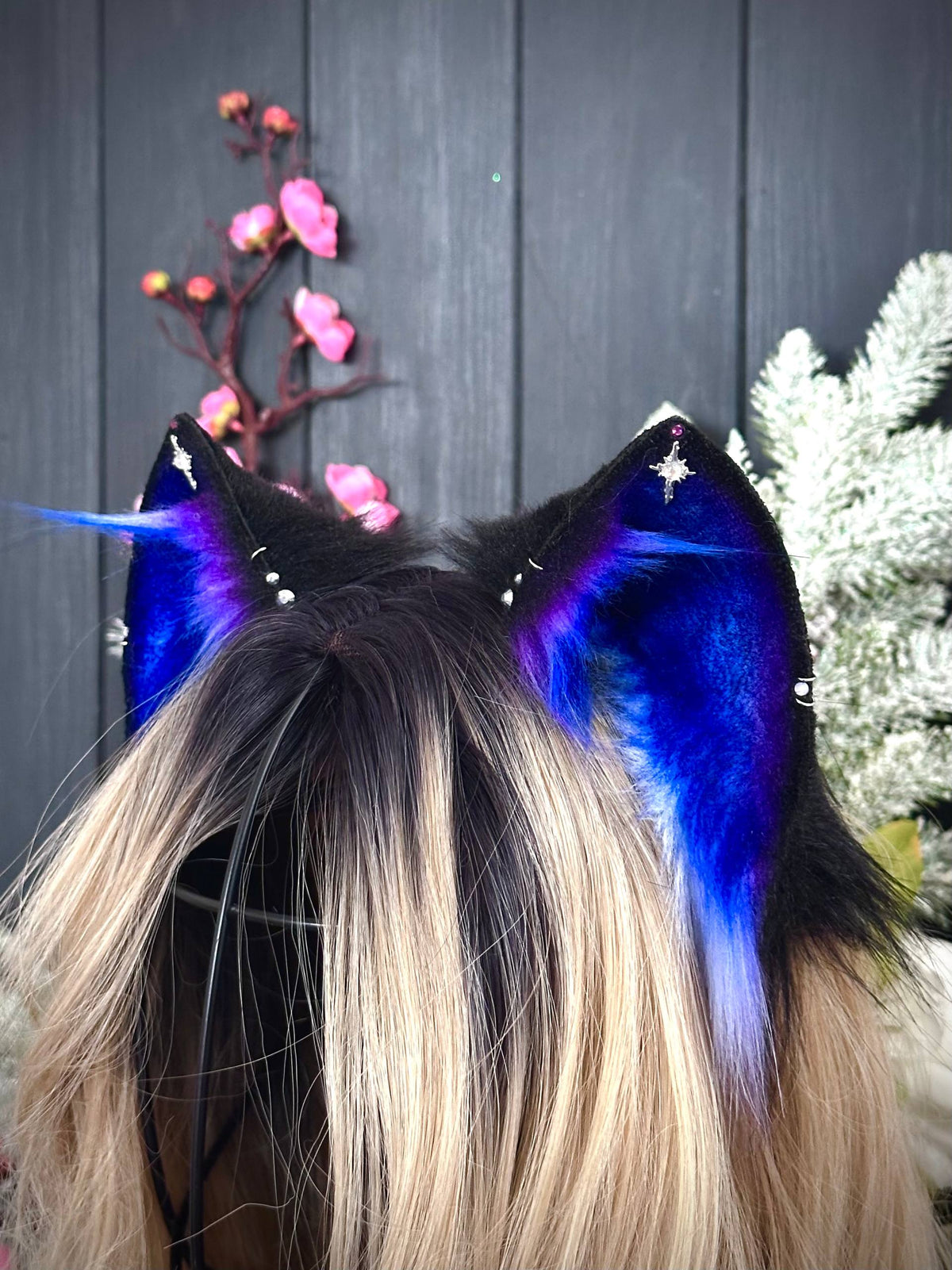 Galaxy kitten