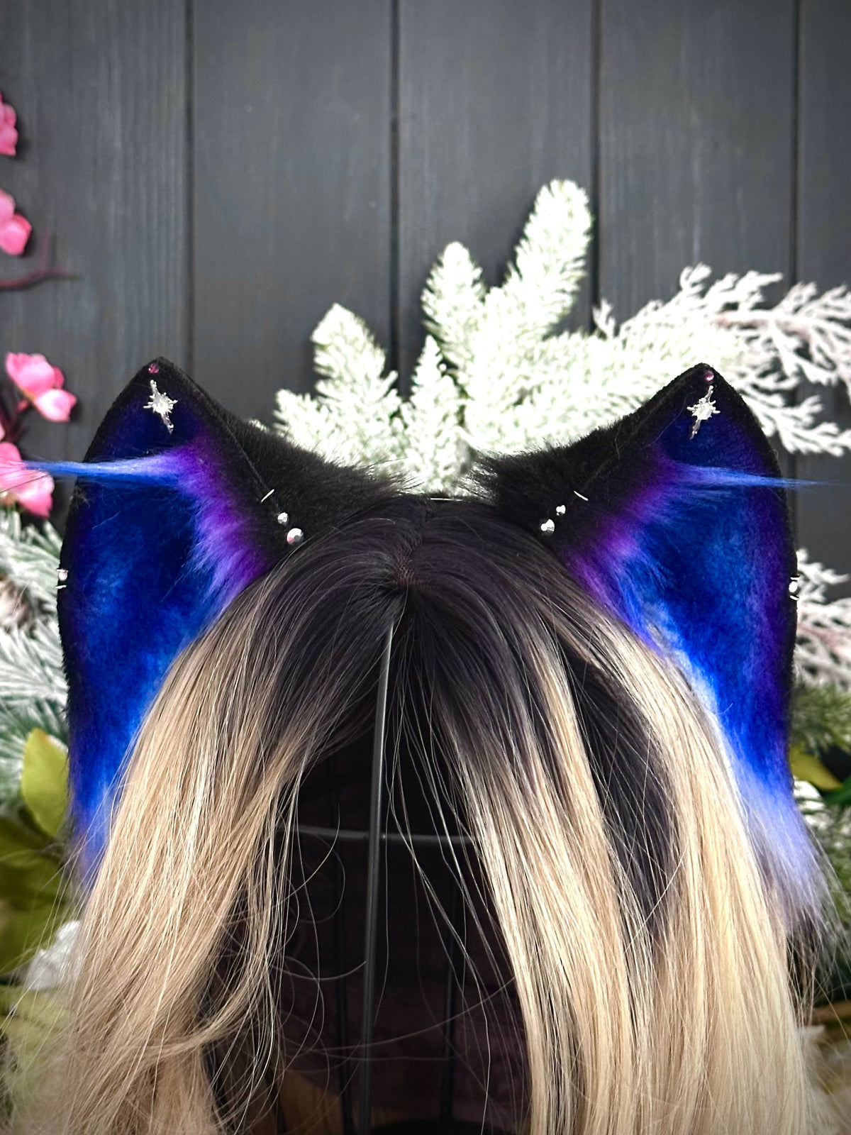 Galaxy kitten