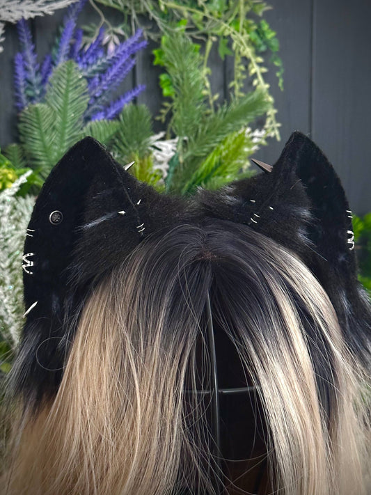 Spiky kitten
