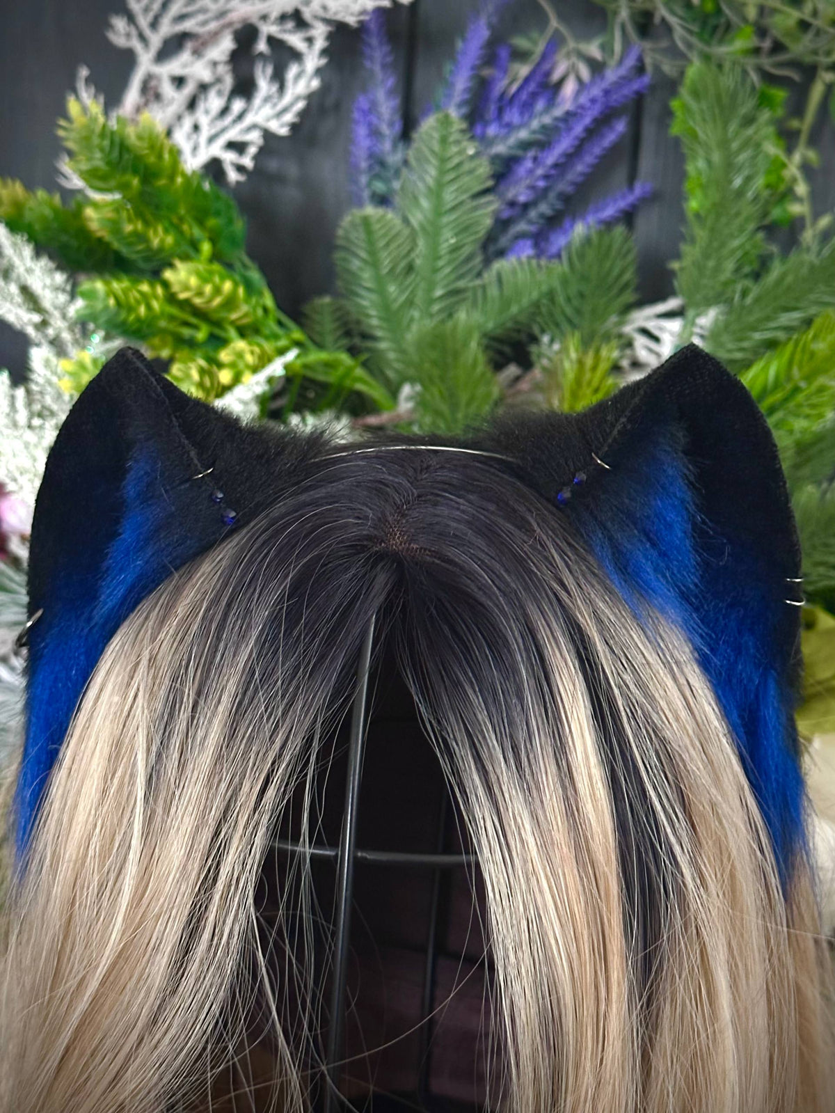 Blue mini kitten