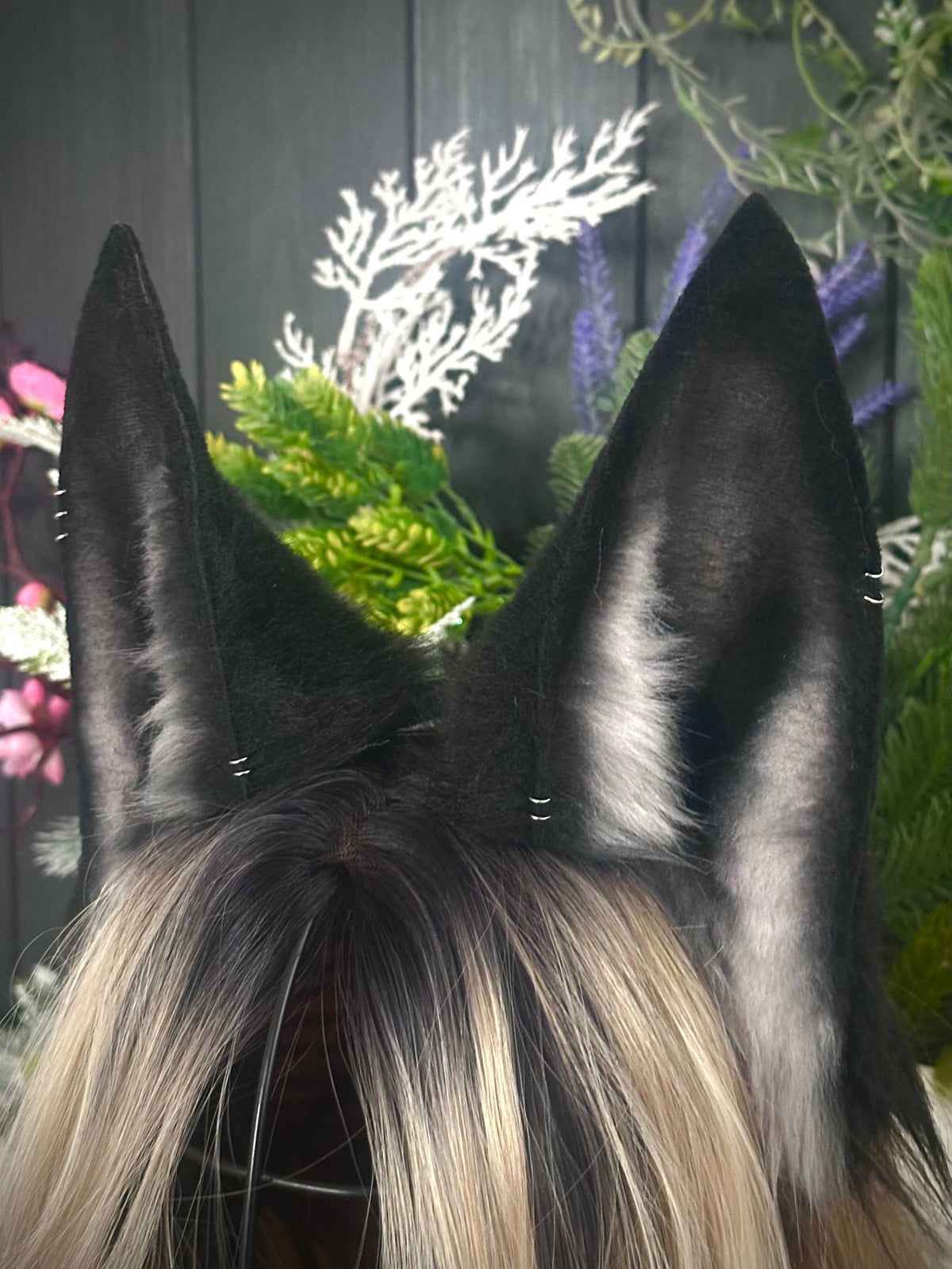 Black kitsune