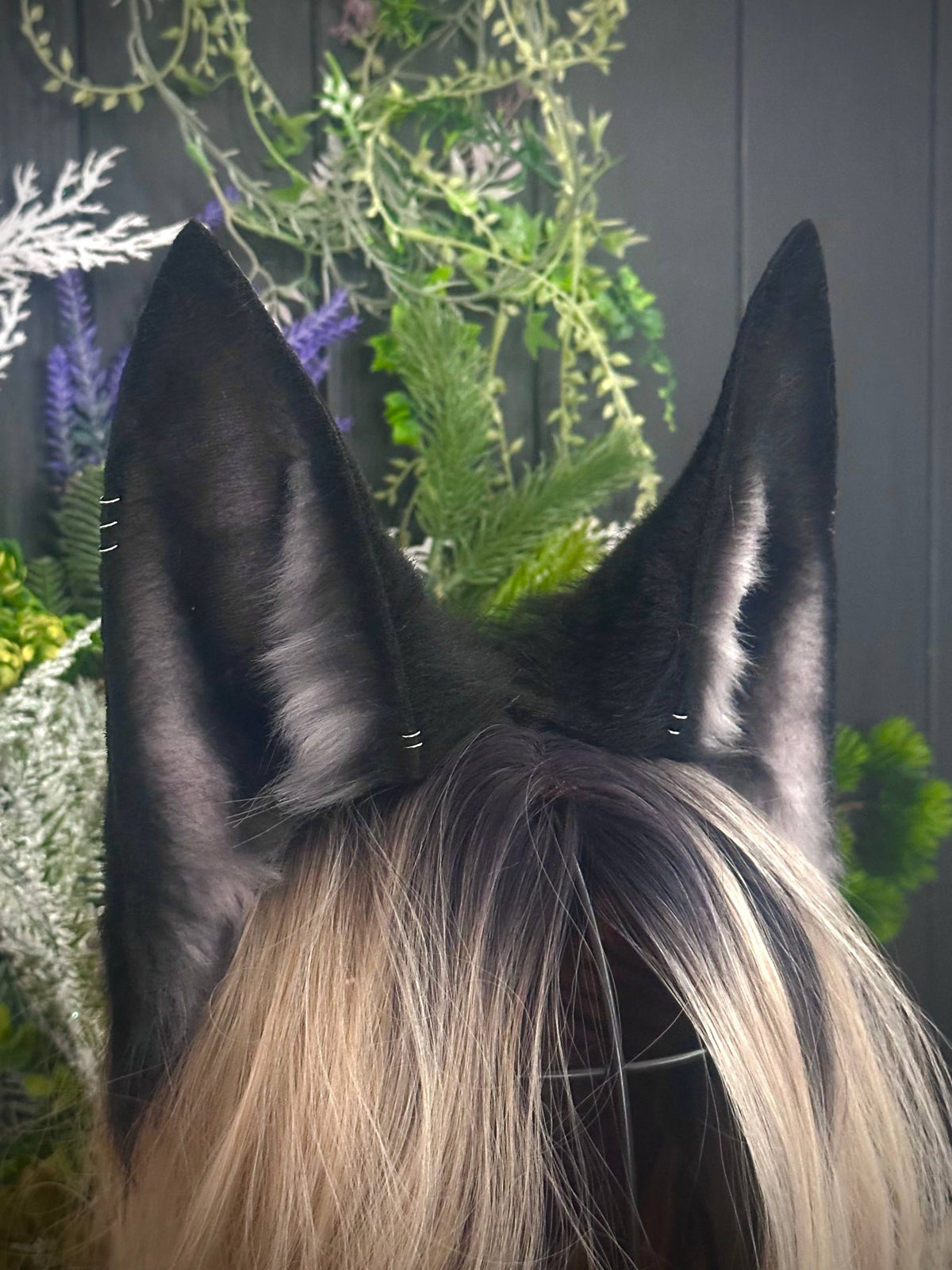 Black kitsune