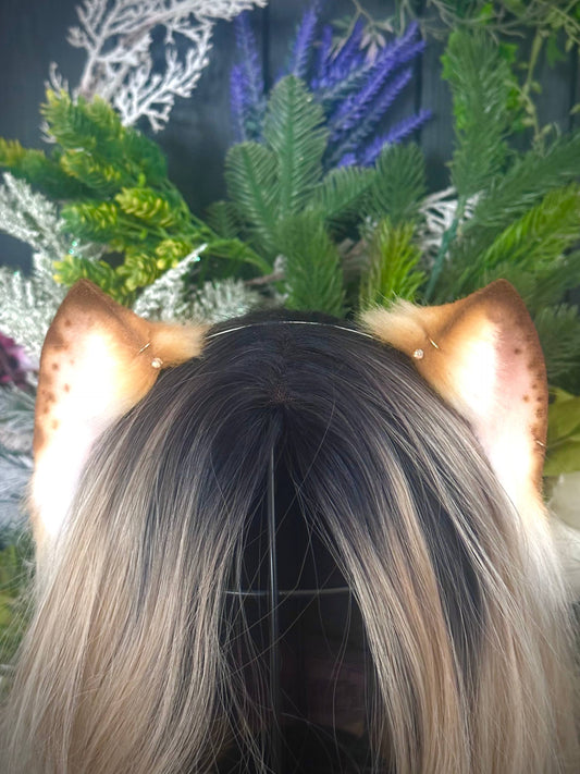 Blonde mini kitten