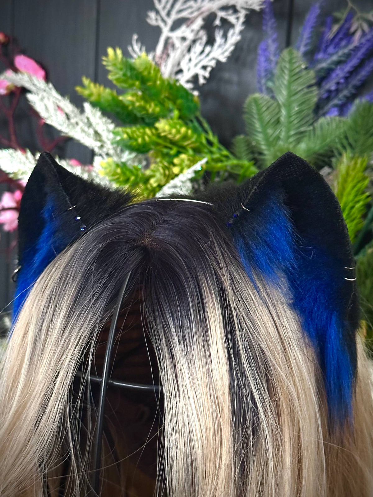 Blue mini kitten