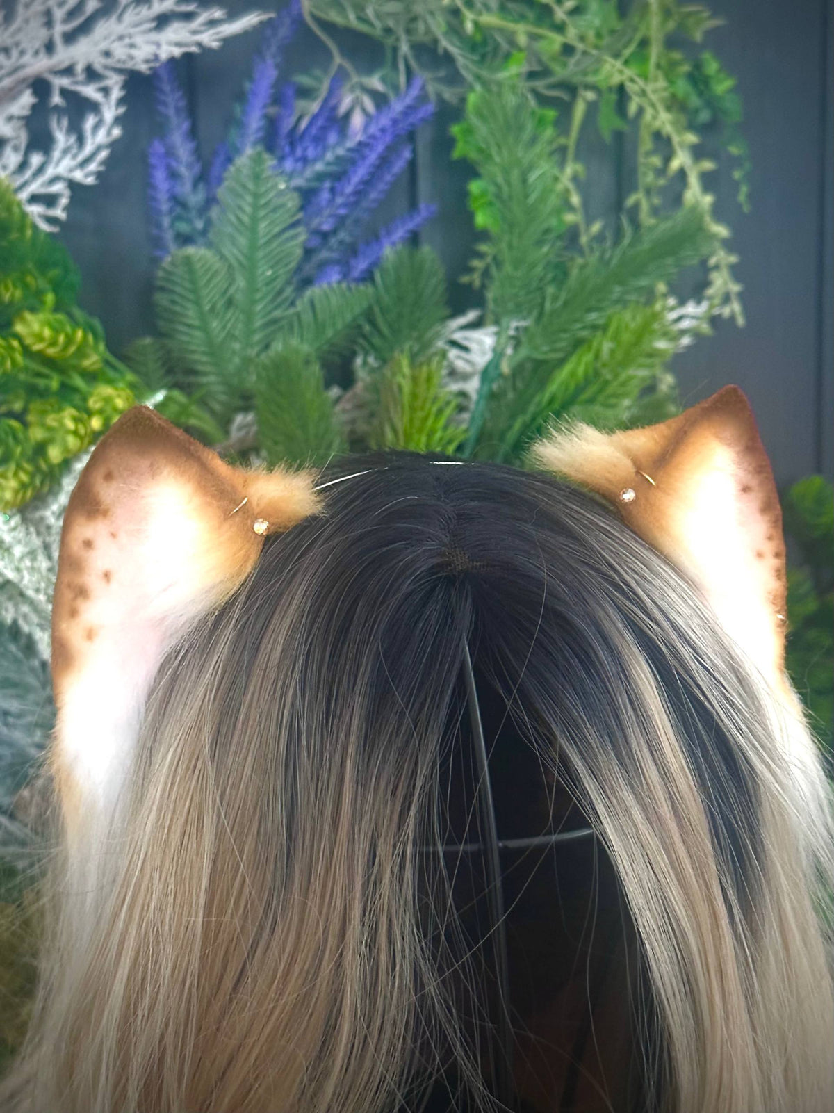 Blonde mini kitten