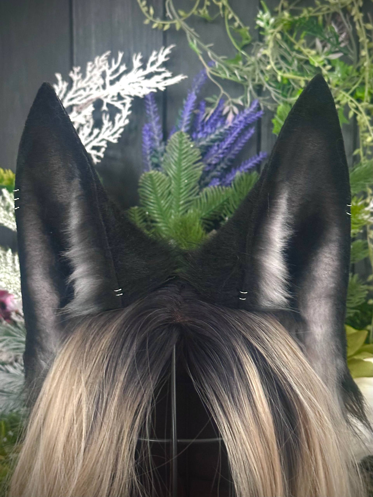 Black kitsune