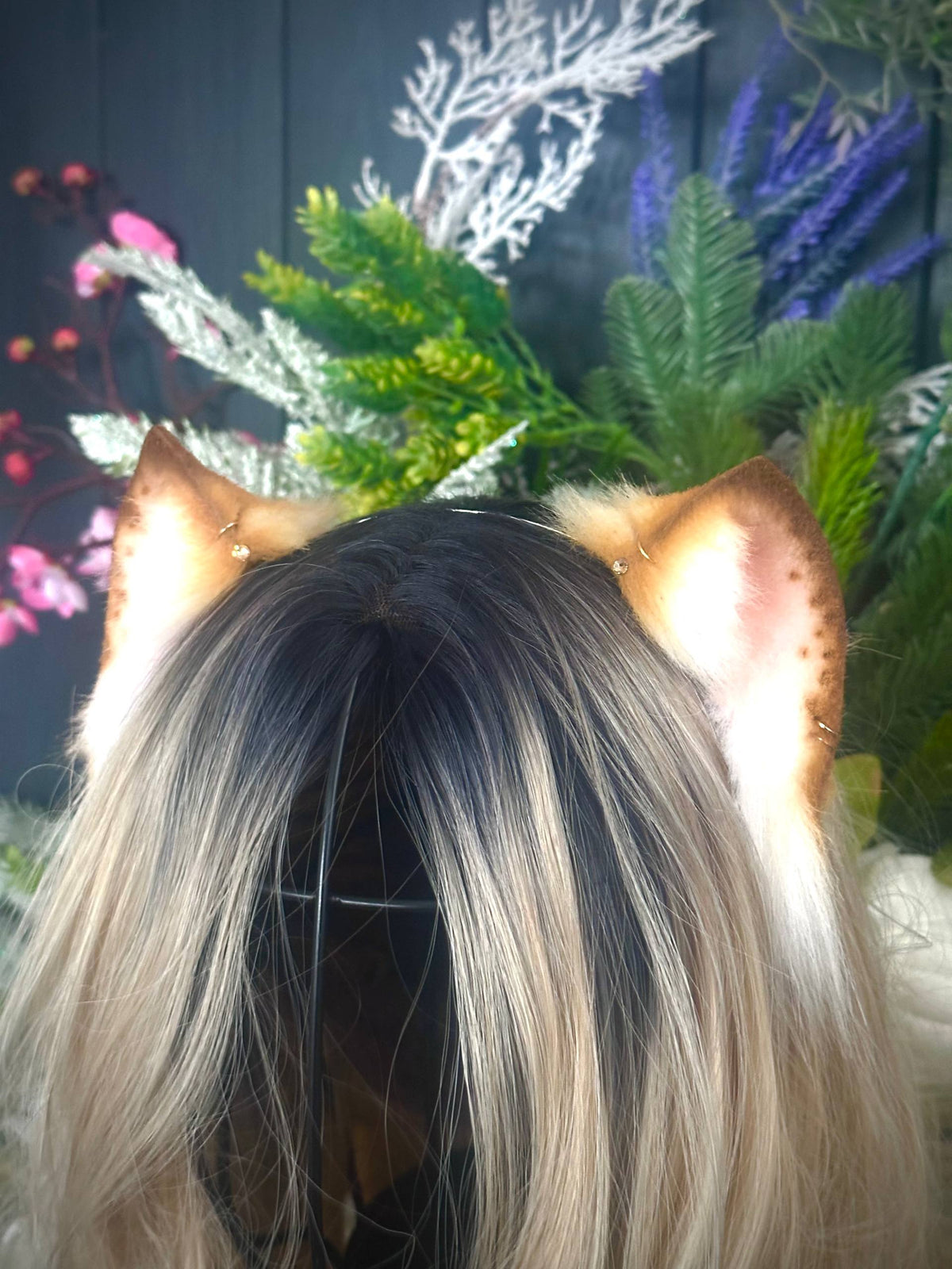 Blonde mini kitten