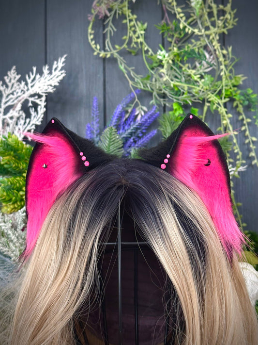 Hot pink kitten