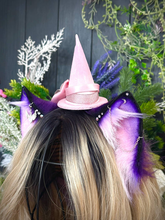 Witch kitten