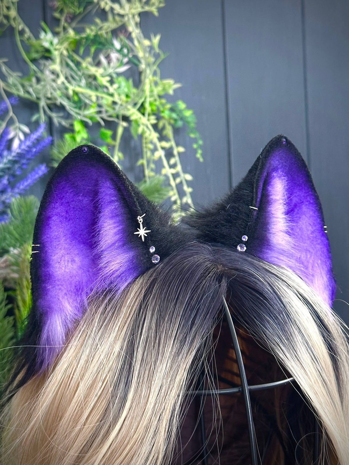 Moon fox kit