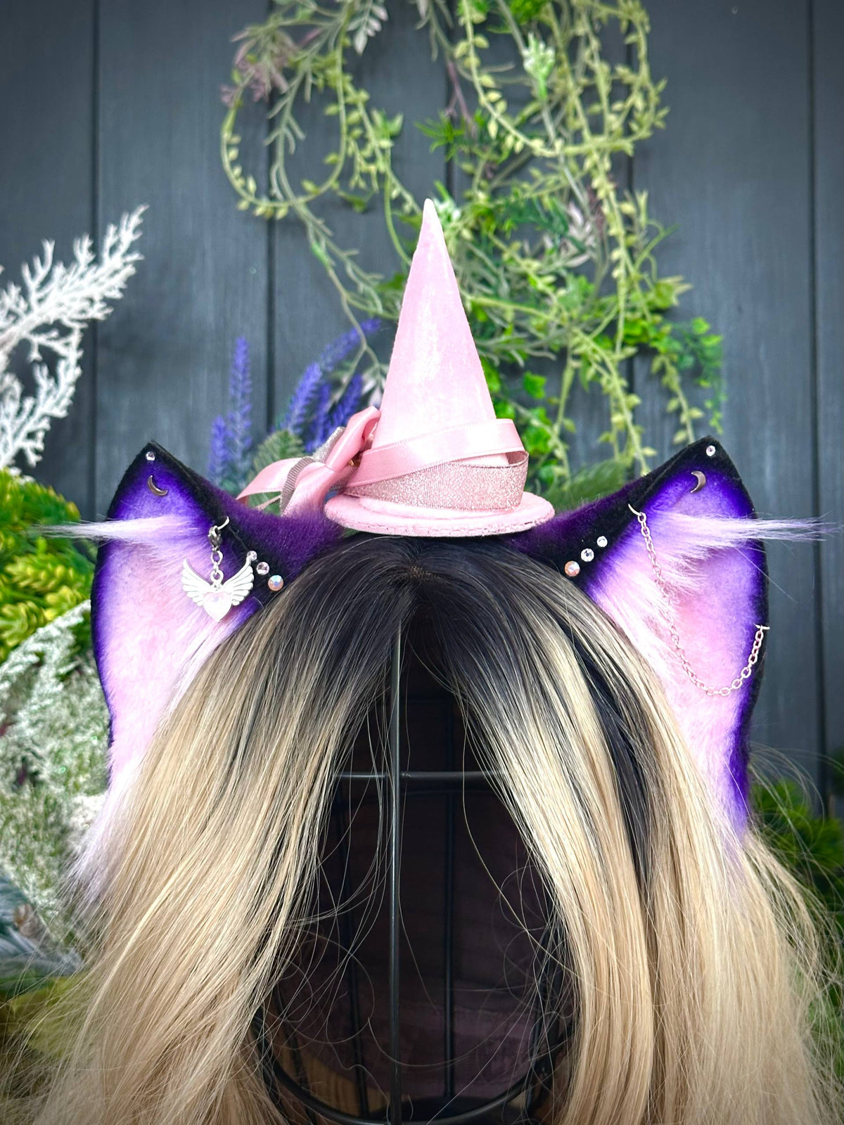 Witch kitten