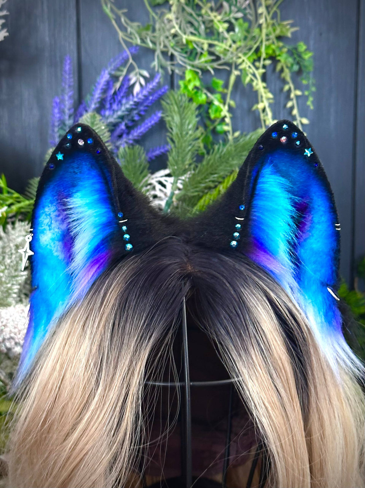 Aurora Borealis wolf
