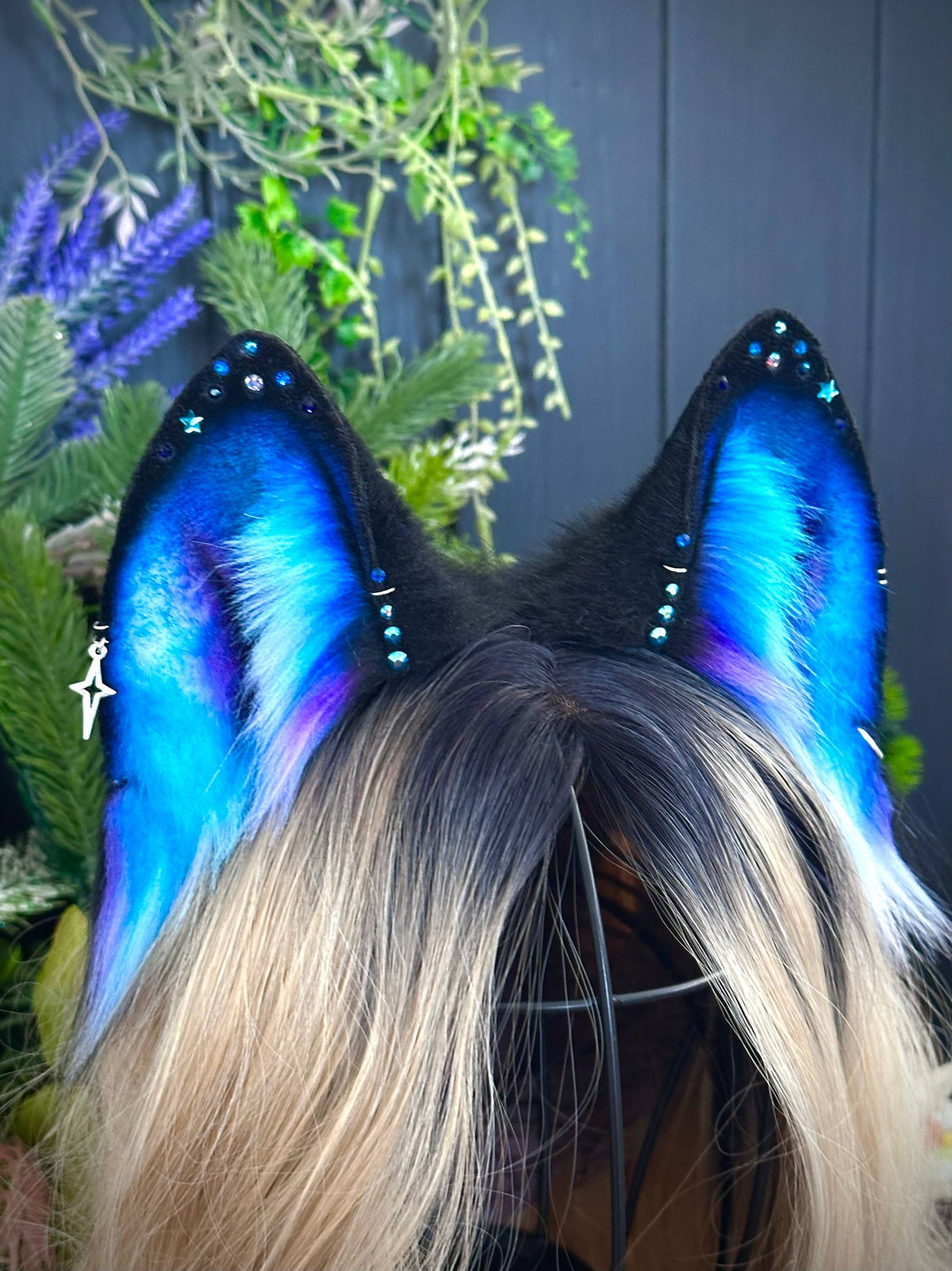 Aurora Borealis wolf